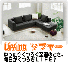 living ソファー 応接