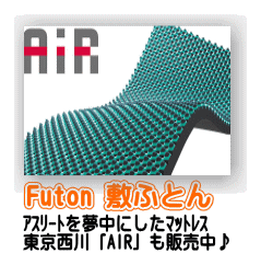 敷きふとん 東京西川 AIR